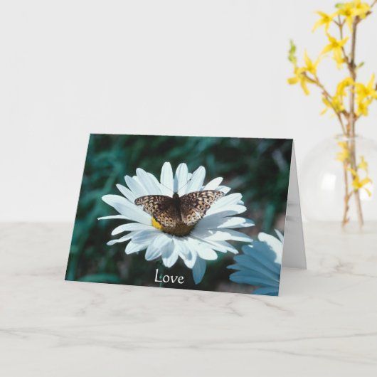 Vlinder op een madeliefje kaart (Gele Bloem)