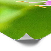 Vlinder op een poster (Hoek)