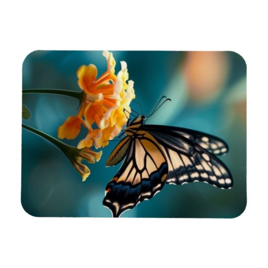  vlinder op een ventilator magneet (Horizontaal)