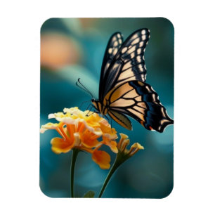  vlinder op een ventilator magneet