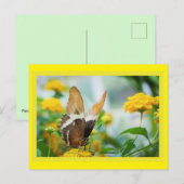 Vlinder op een Vloeiend Briefkaart (Voorkant / Achterkant)