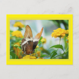 Vlinder op een Vloeiend Briefkaart