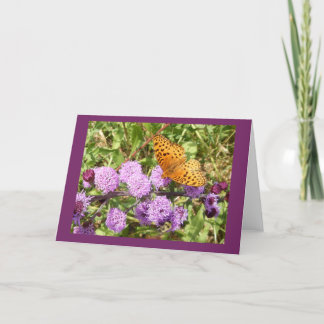 Vlinder op Gayfeather Blank Note Kaart