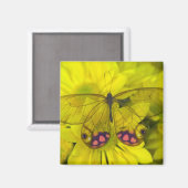 Vlinder op geel magneet (Voorkant / Achterkant)