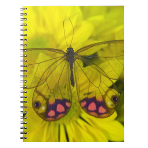 Vlinder op Geel Notitieboek