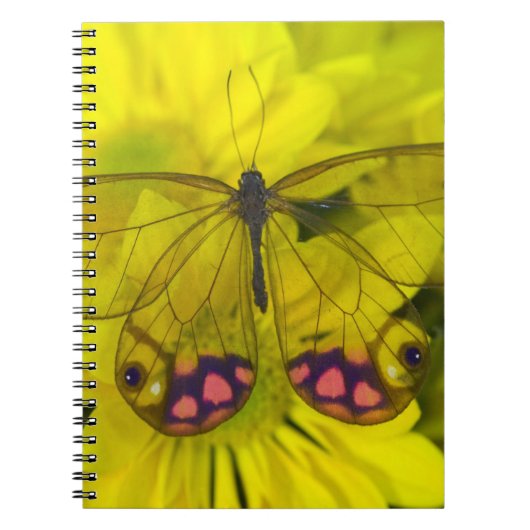 Vlinder op Geel Notitieboek (Voorkant)