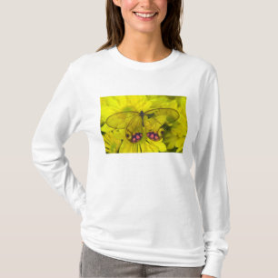 Vlinder op geel t-shirt
