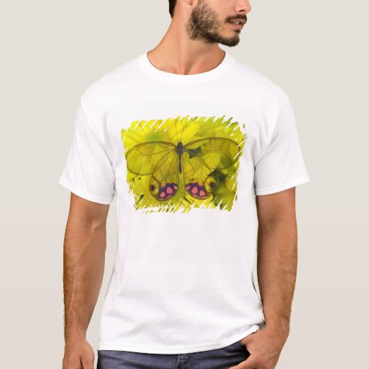 Vlinder op Geel T-shirt (Voorkant)