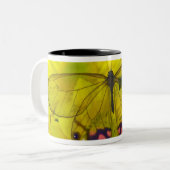 Vlinder op geel tweekleurige koffiemok (Voorkant links)