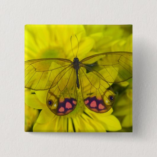 Vlinder op Geel Vierkante Button 5,1 Cm (Voorkant)