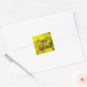 Vlinder op geel vierkante sticker (Envelop)