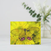 Vlinder op Gele Bloemen Briefkaart (Staand voorkant)