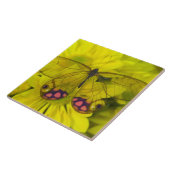 Vlinder op gele bloemen tegeltje (Zijkant)