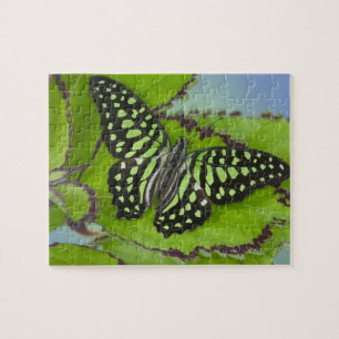 Vlinder op Groen Legpuzzel