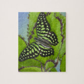 Vlinder op Groen Legpuzzel (Verticaal)