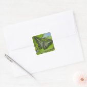 Vlinder op Groen Vierkante Sticker (Envelop)