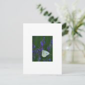 Vlinder op het Briefkaart van Lavendel (Staand voorkant)