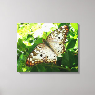 Vlinder op Jasmine Tropische Natuurfotografie Canvas Afdruk