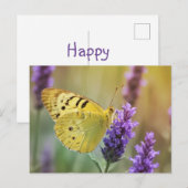 Vlinder op Lavendel Briefkaart (Voorkant / Achterkant)