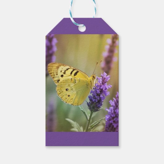 Vlinder op lavendel cadeaulabel (Voorkant)