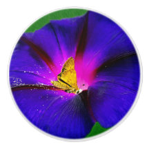 Vlinder op Morning Glory