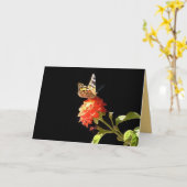 Vlinder op Oranje Bloem, Blank Binnenbegroeting Kaart (Gele Bloem)