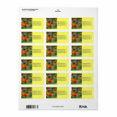 Vlinder op oranje en gele bloemen label (Full Sheet)