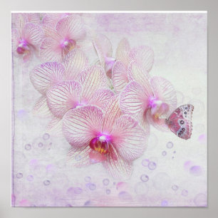 Vlinder op Orchidee Bloesems Poster