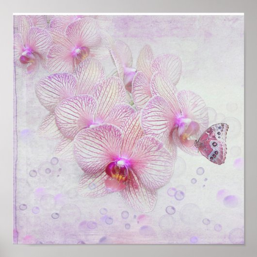 Vlinder op Orchidee Bloesems Poster (Voorkant)