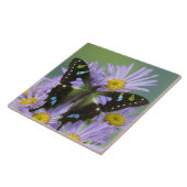 Vlinder op Paarse bloem Tegeltje (Zijkant)