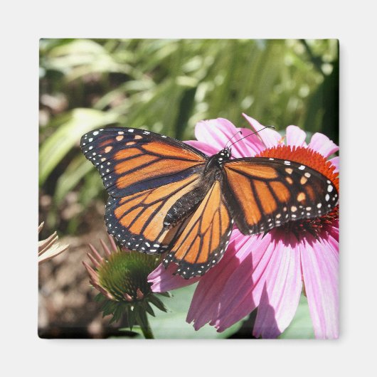 Vlinder op rode bloem magneet (Voorkant)