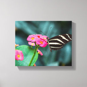 Vlinder op Roze Bloem Fotografie Canvas Afdruk