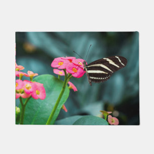 Vlinder op Roze Bloem Fotografie Deurmat