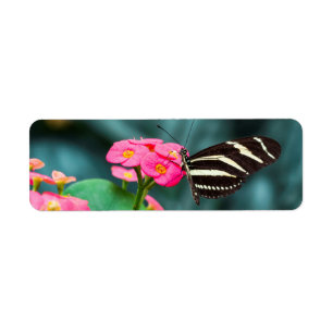 Vlinder op Roze Bloem Fotografie Etiket