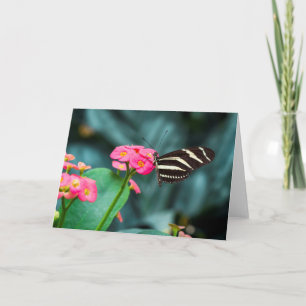Vlinder op Roze Bloem Fotografie Kaart