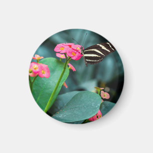 Vlinder op Roze Bloem Fotografie Magneet