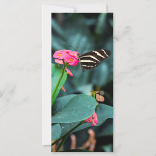 Vlinder op Roze Bloem Fotografie Magnetische Uitnodiging