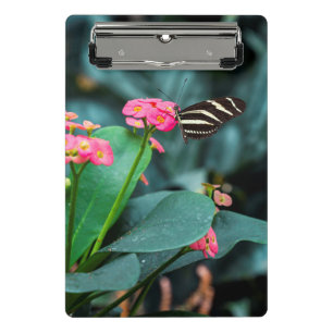 Vlinder op Roze Bloem Fotografie Mini Klembord