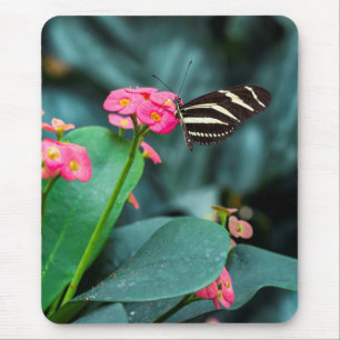 Vlinder op Roze Bloem Fotografie Muismat