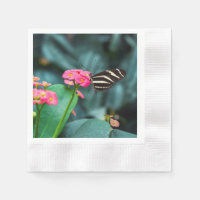 Vlinder op Roze Bloem Fotografie
