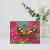 Vlinder op Roze Bloemen Briefkaart (Staand voorkant)