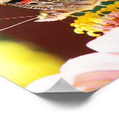  Vlinder op Roze Zinnia Natuur Fotografie Poster (Hoek)