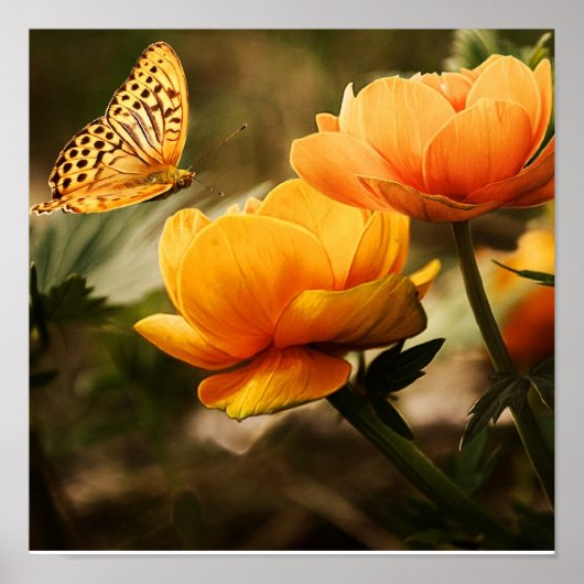 Vlinder op Sinaasappelbloemen Poster (Voorkant)