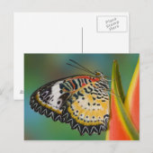 Vlinder op tropische bloem briefkaart (Voorkant / Achterkant)