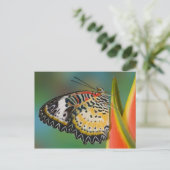 Vlinder op tropische bloem briefkaart (Staand voorkant)