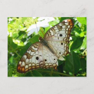 Vlinder op tropische natuurfotografie van Jasmine Briefkaart