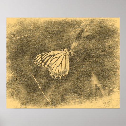  vlinder op ventilator #2 Posters (Voorkant)