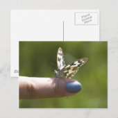 vlinder op vinger briefkaart (Voorkant / Achterkant)