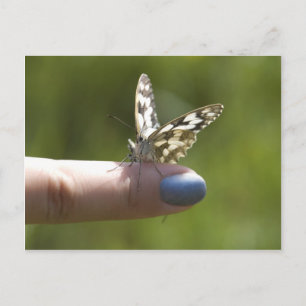 vlinder op vinger briefkaart