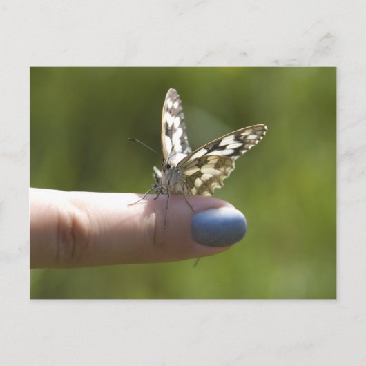vlinder op vinger briefkaart (Voorkant)